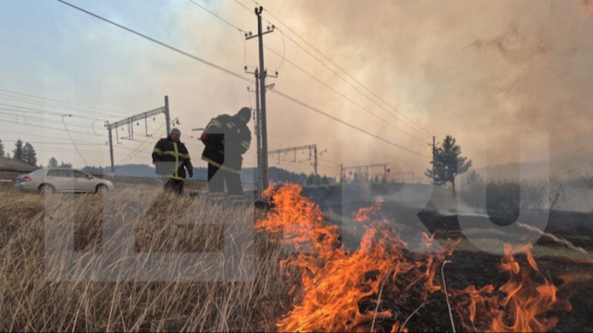    Фото: ИЗВЕСТИЯ/Денис Алферов; 5-tv.ru