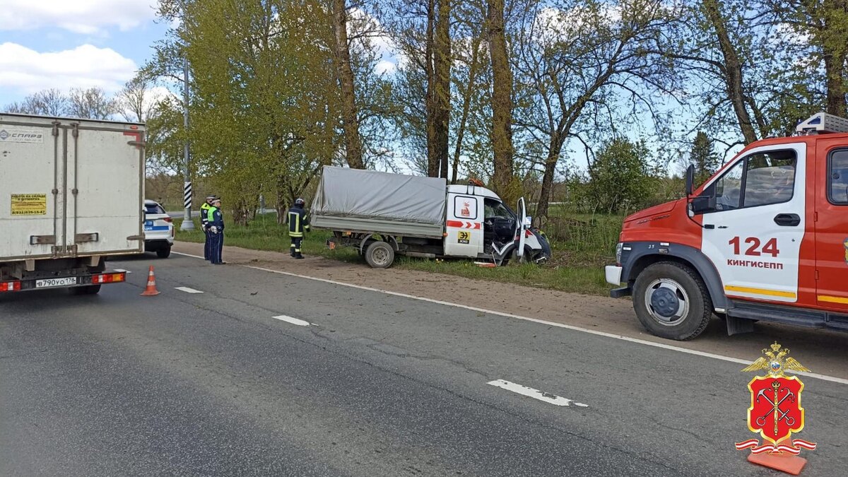    Фото: vk.com/spb__police