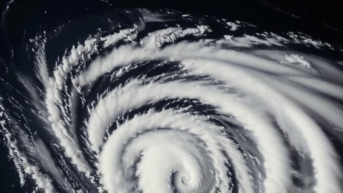    Сгенерировано ИИ