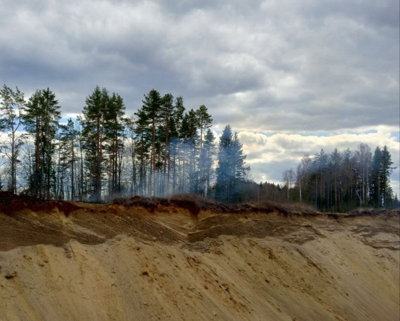    Пожарные час тушили загоревшийся лес вдоль трассы под Петрозаводском ГКУ РК "ОПС по Пряжинскому району"