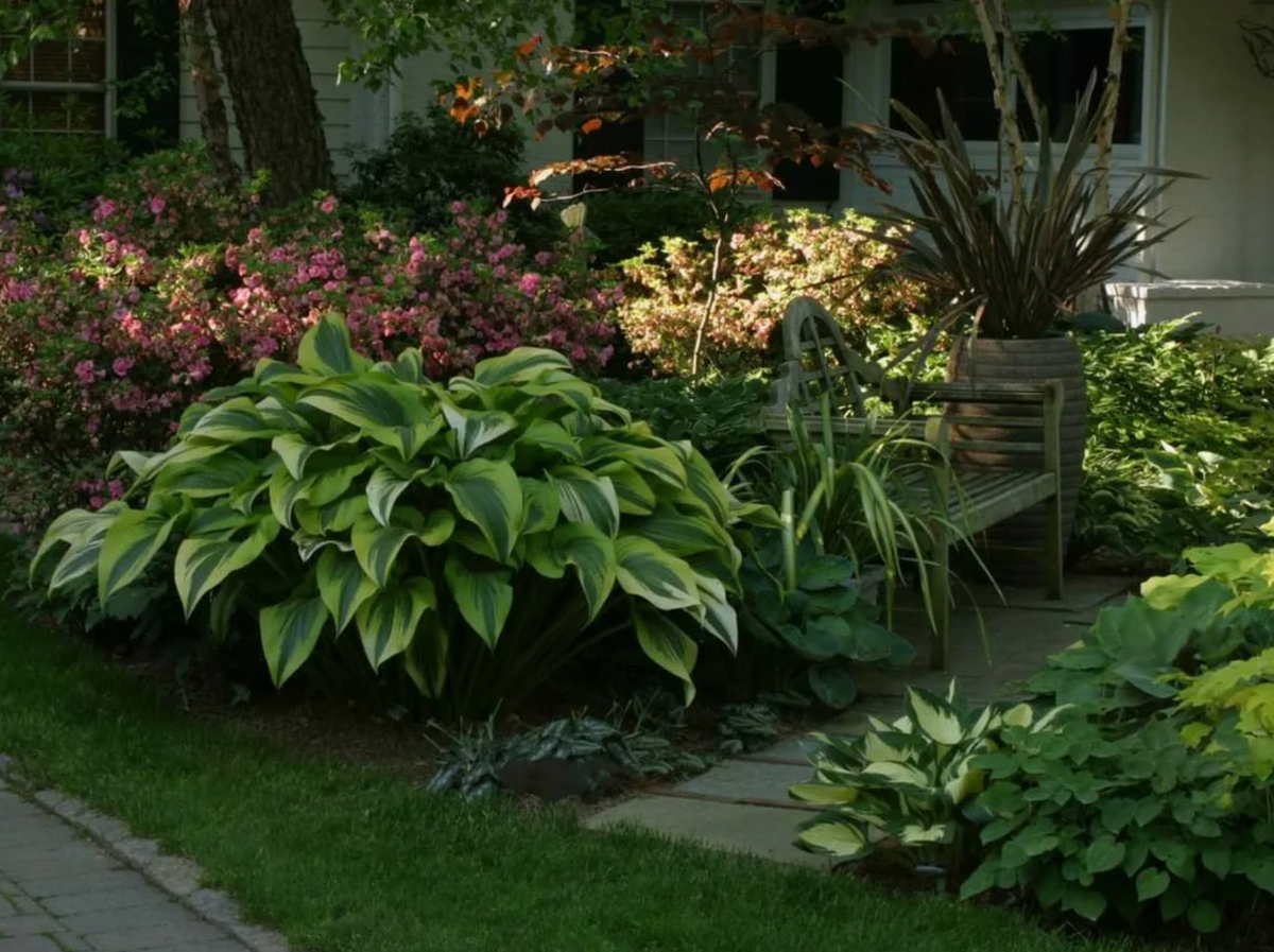 Источник фото: immunocap.ru