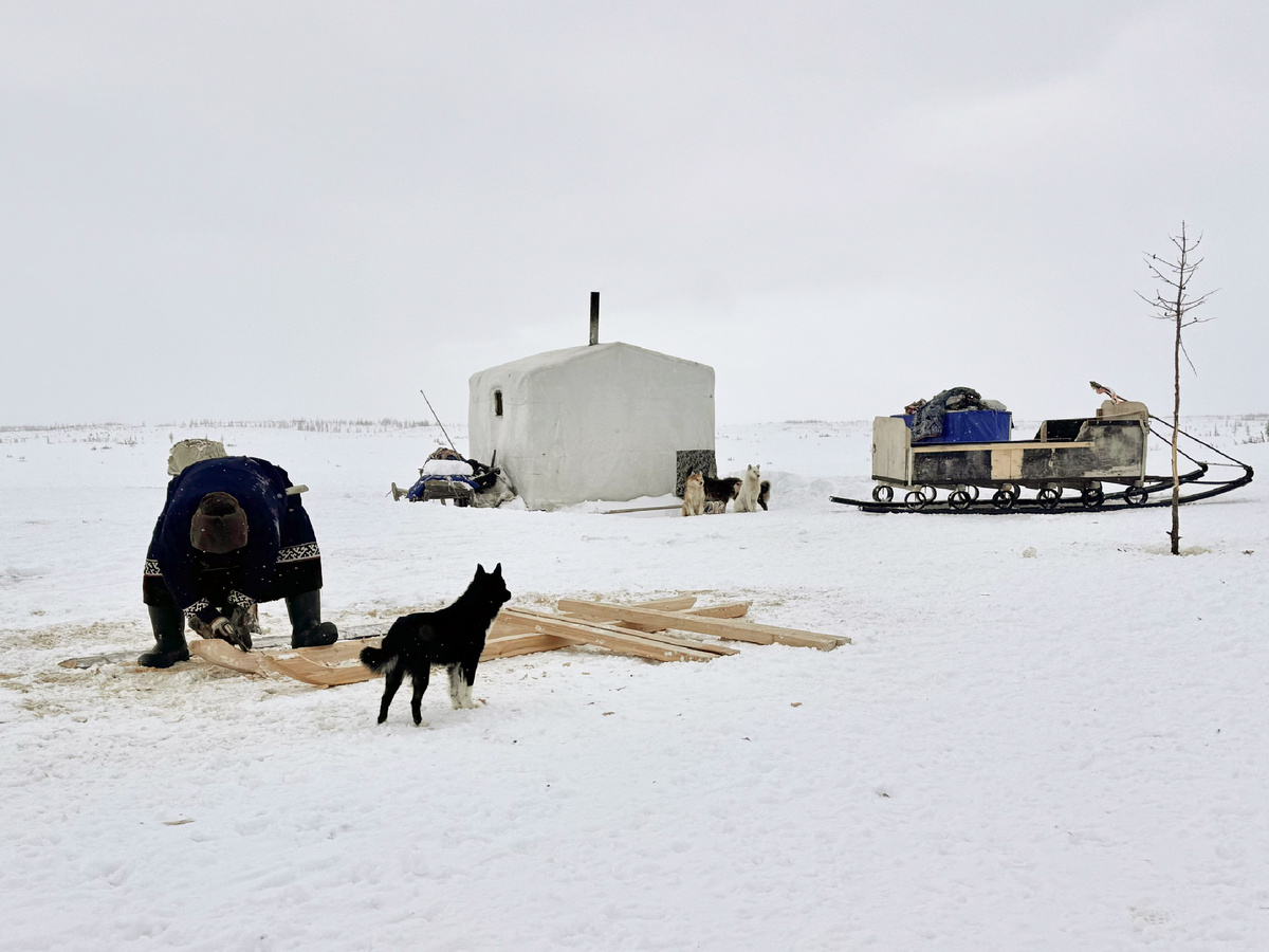 Николай работает с деревом около дома