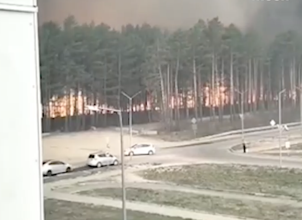 Фото: кадр видео