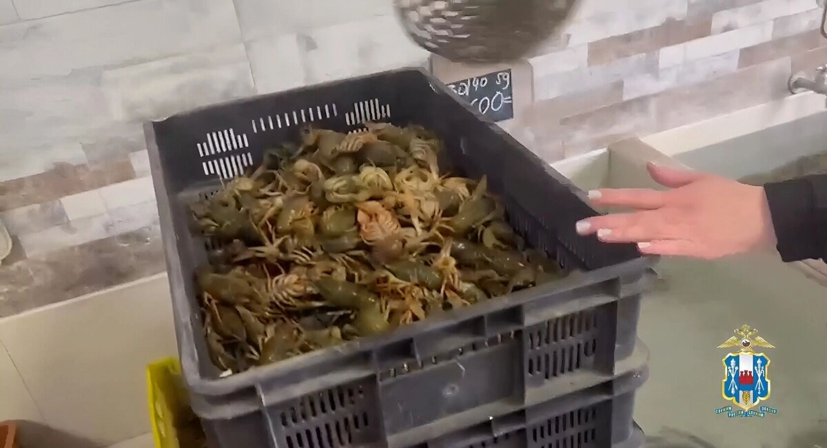     Автор: ГУ МВД России по Ростовской области