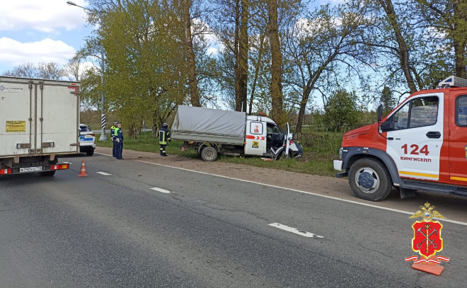    © Пресс-служба ГУ МВД по Петербургу и Ленинградской области