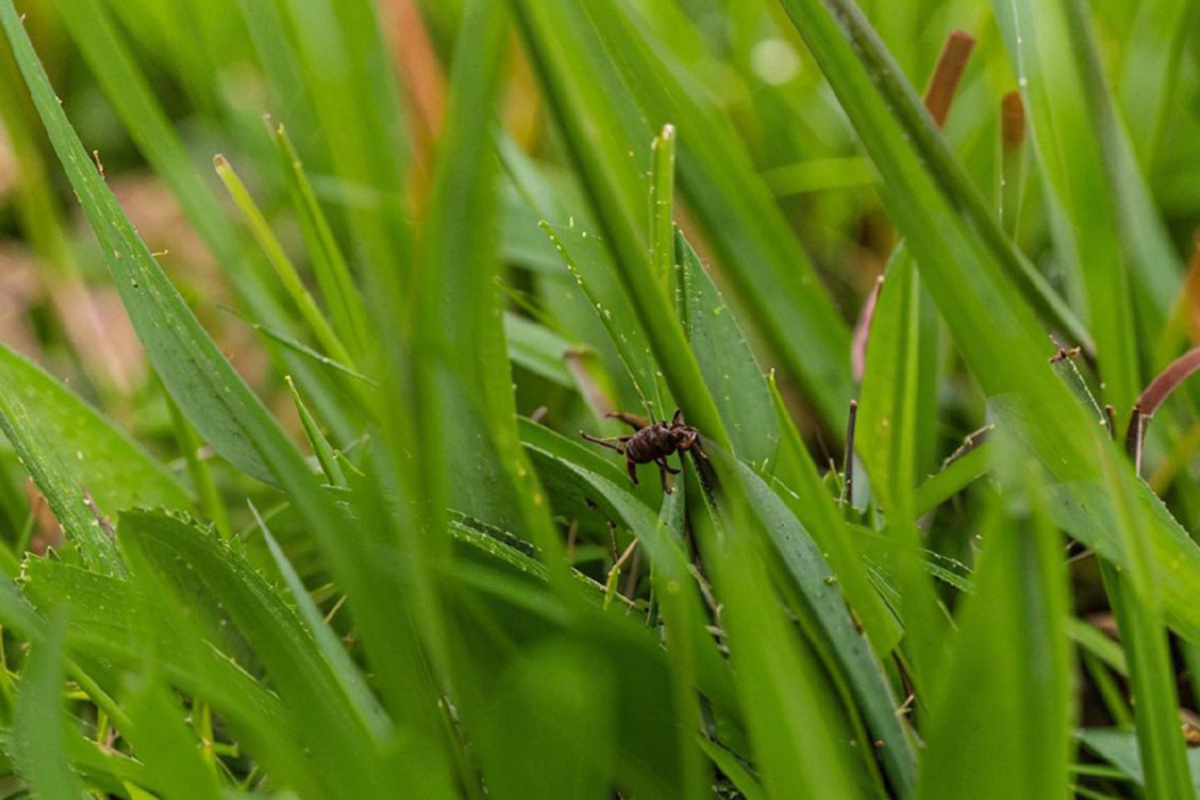    Фото: пресс-служба Северо-Кавказского федерального университета