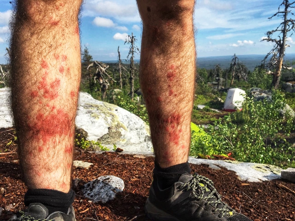 Фото из личного архива. Мы попали под вылет мошки.