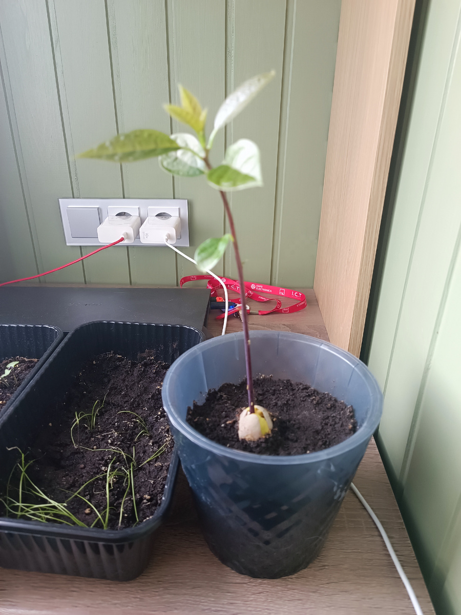 Фото автора 