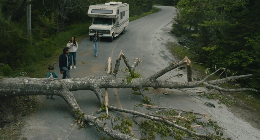 из свободных источников