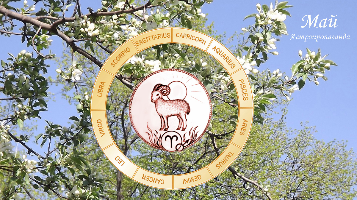 Гороскоп для Овна с 5 мая по 1 июня 2025. 