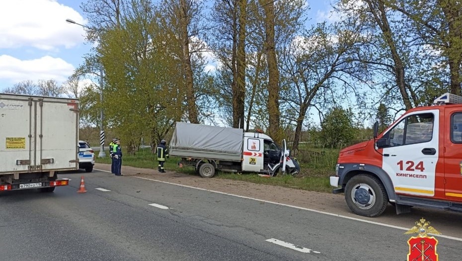    Автор фото: t.me/spb_police78