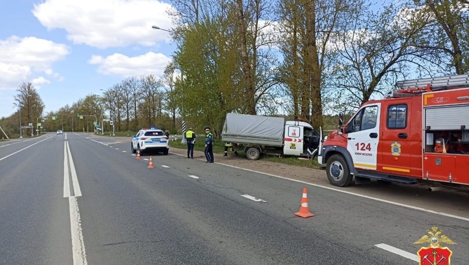    Автор фото: t.me/spb_police78