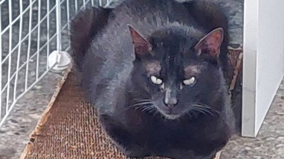 Фото: Транспортная группа Fesco