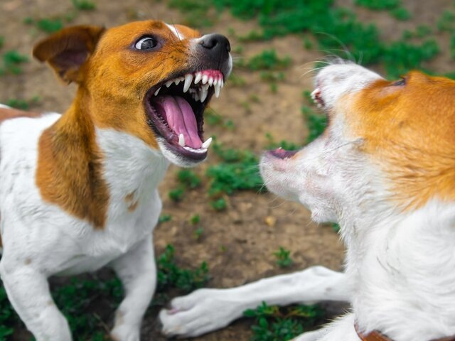    Фото: depositphotos/Hugo1313