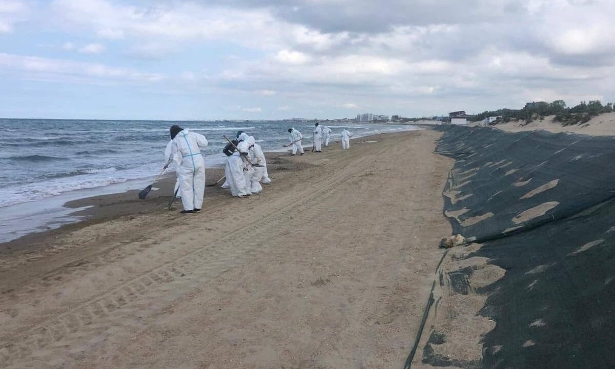    Фото t.me/opershtab23