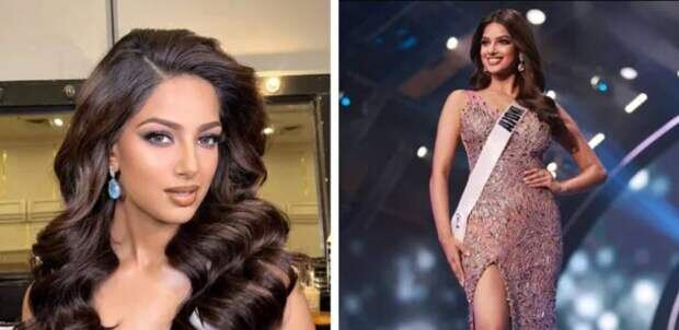 Красавица  фото: картинки яндекса. 