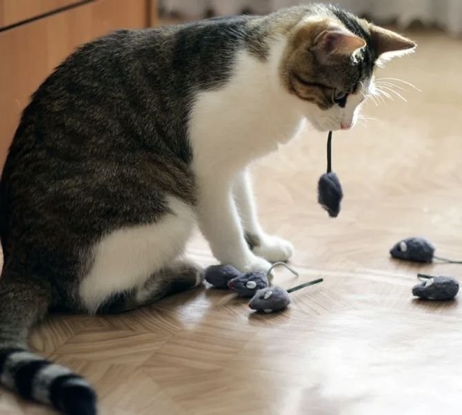 источник Яндекс-картинки