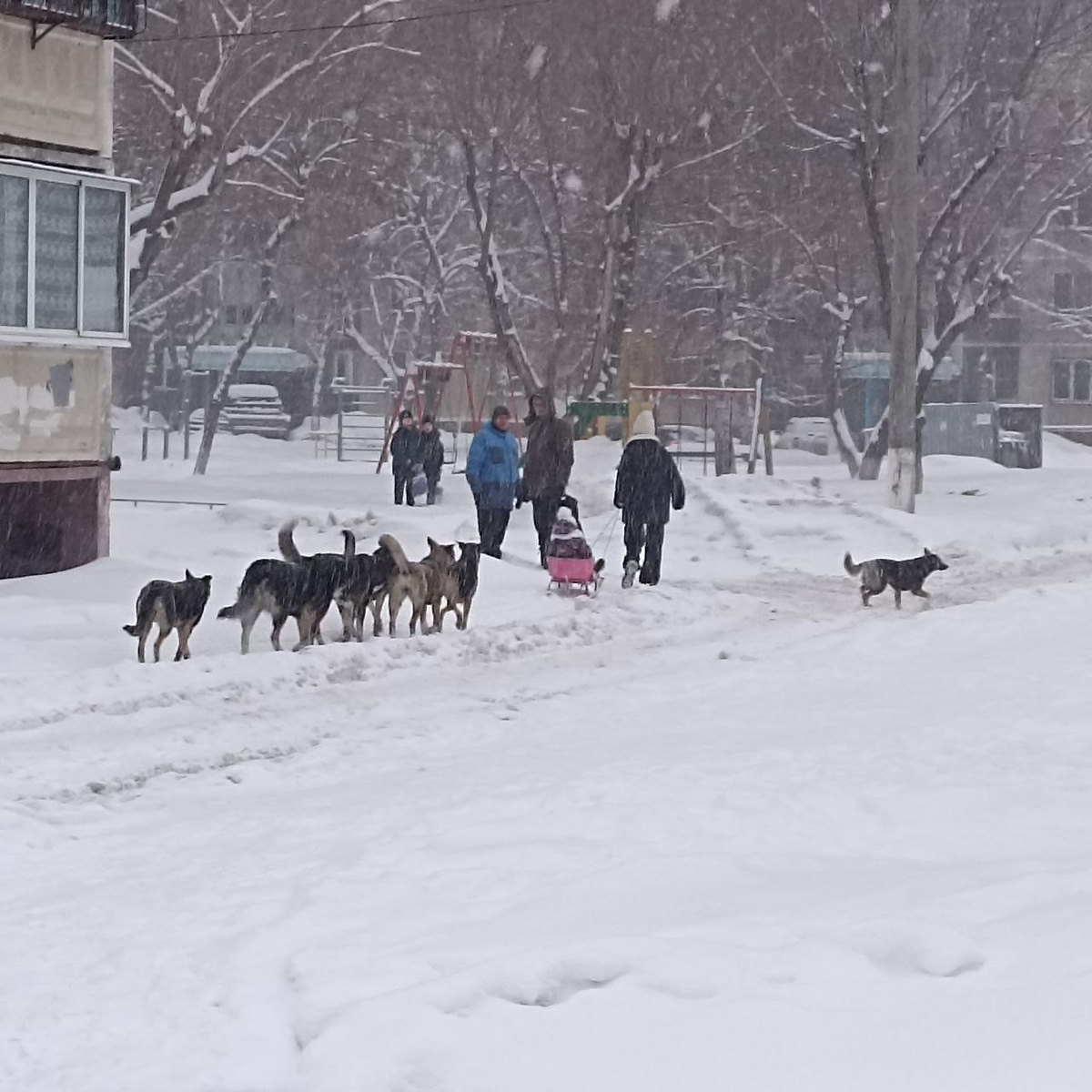 Фото сделано мной лично. К слову, справа детский сад