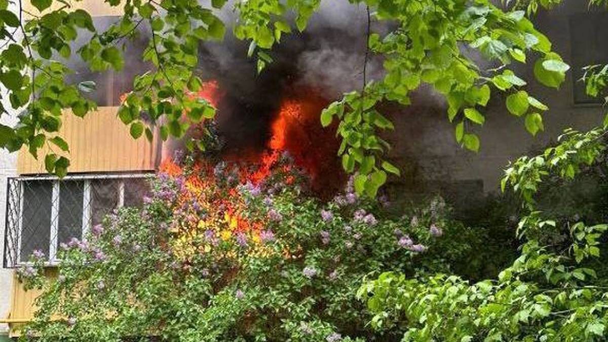    Фото: «Москва с огоньком» / Telegram