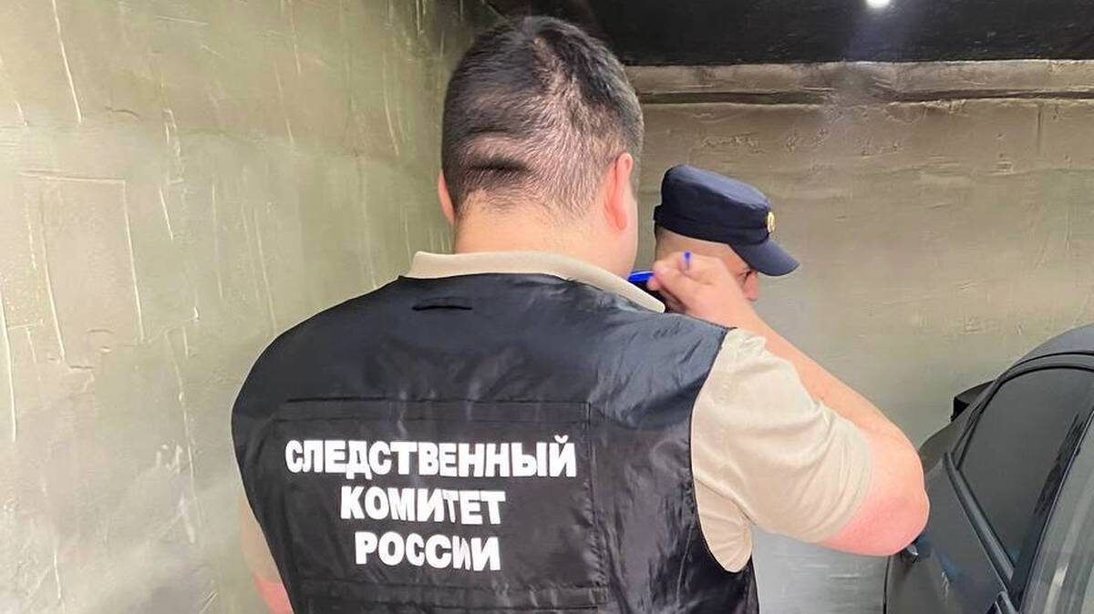    Фото: пресс-служба СК РФ по Саратовской области