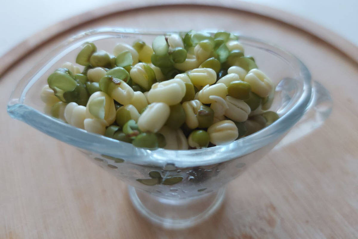 Фото Софии Бибиковой, «Кубань 24»