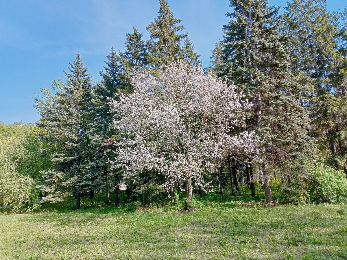    Фото: Марина Куцина