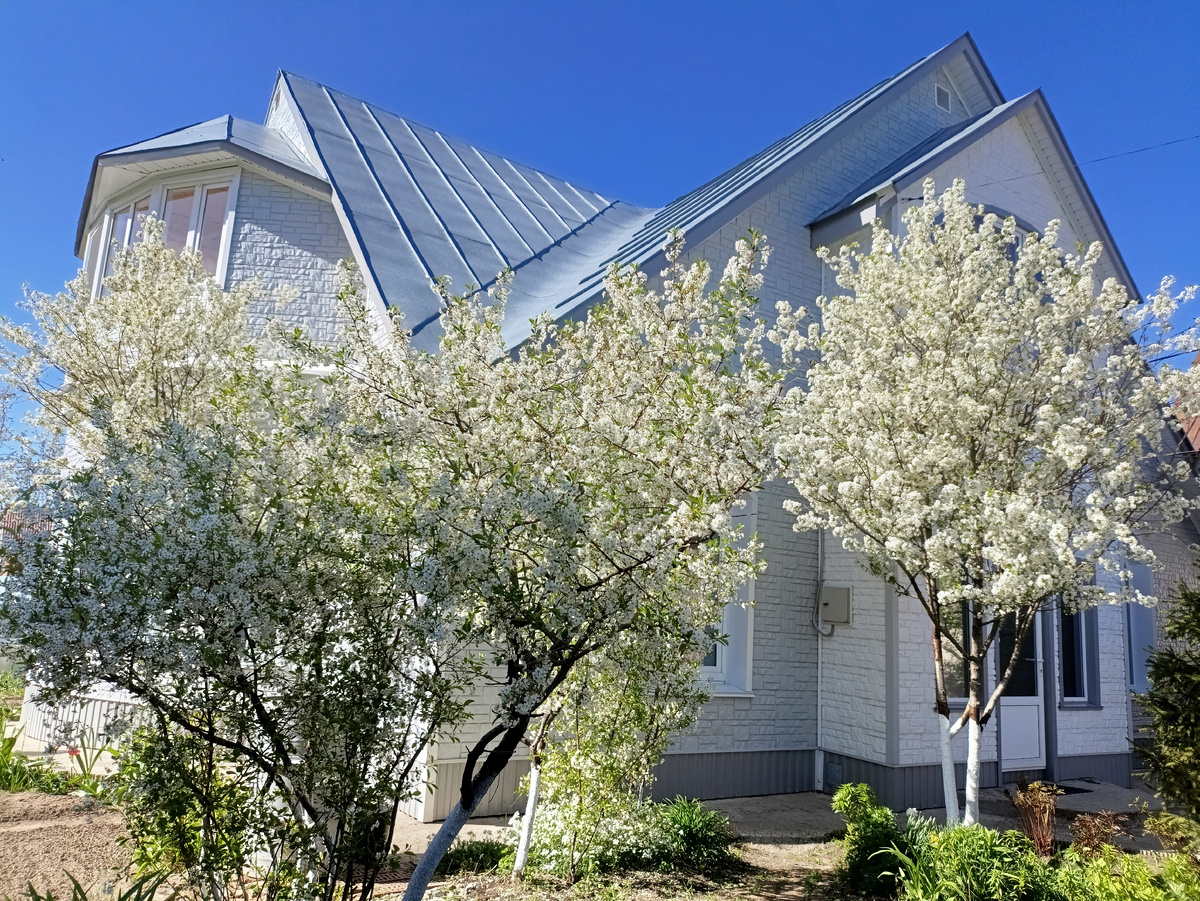 Фотография автора 