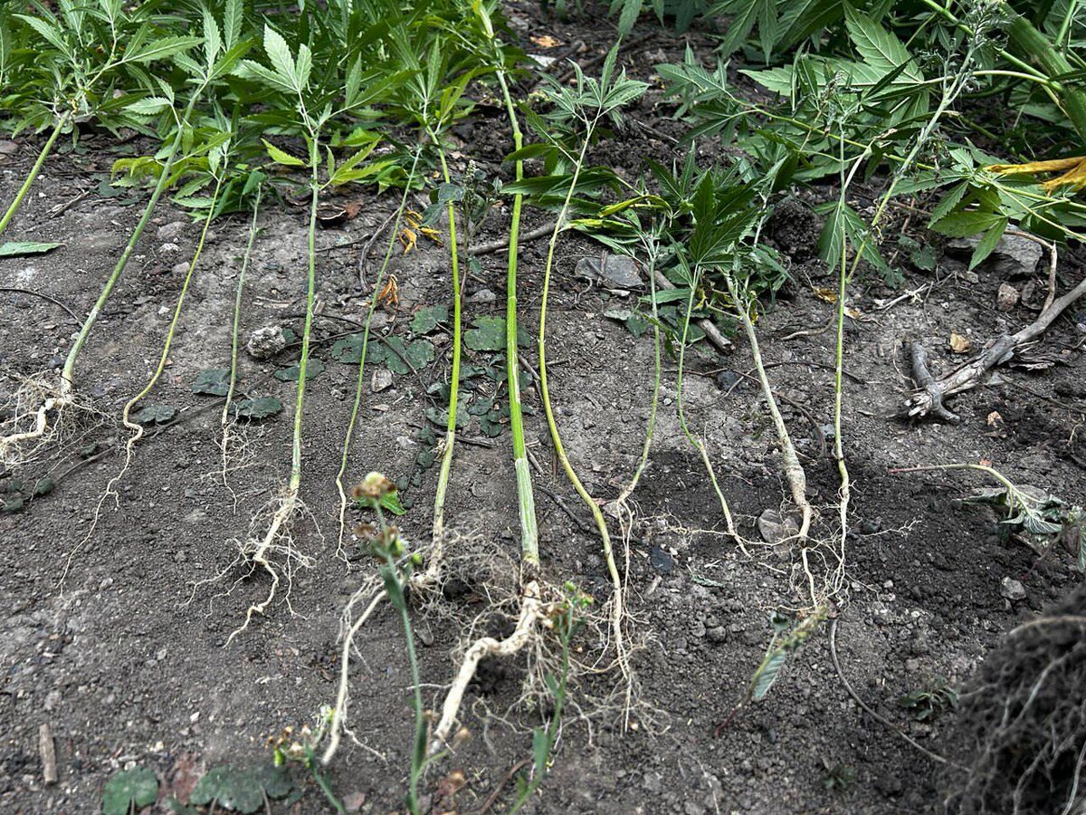 Фото: МВД по ДНР