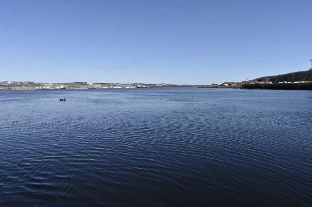    Патрушев рассказал об утилизации затонувшего плавдока в Мурманской области