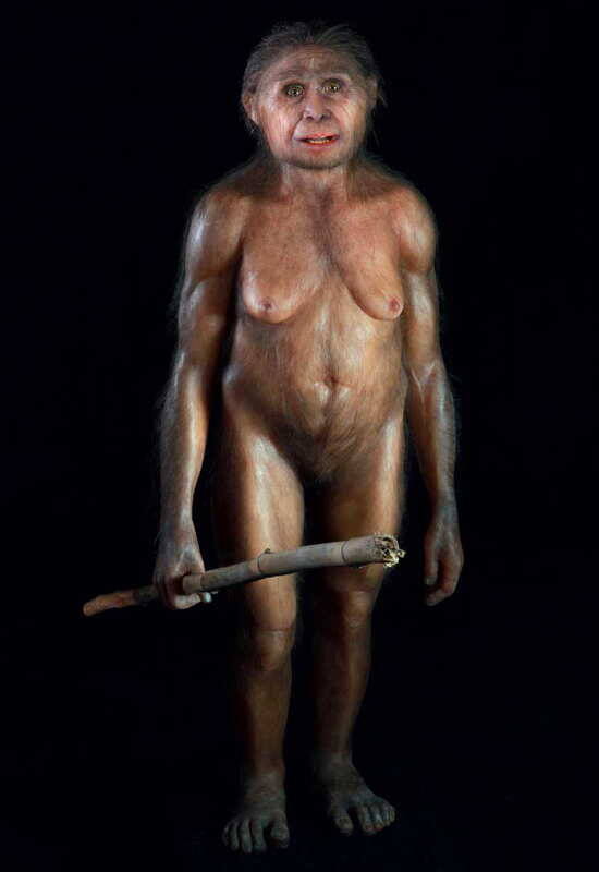 Полная реконструкция LB1, выполненная палеохудожницей Элизабет Дейнес по заказу Королевского статистического общества.