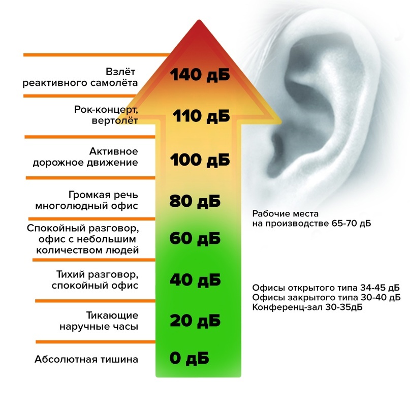 Уровни шума в децибелах: от абсолютной тишины до взлёта самолёта