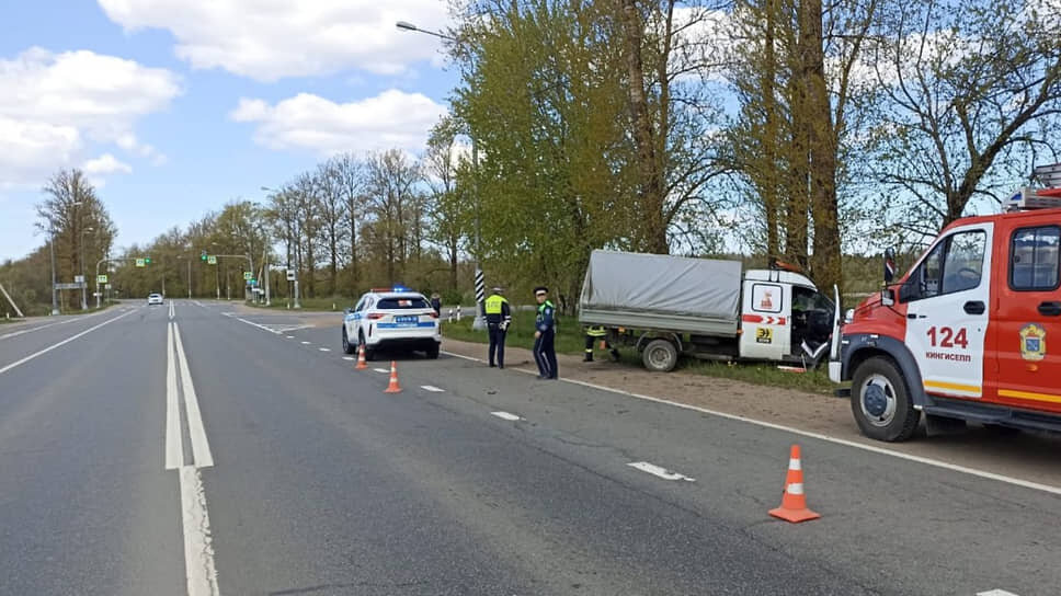 Фото: ГУ МВД по Петербургу и Ленобласти