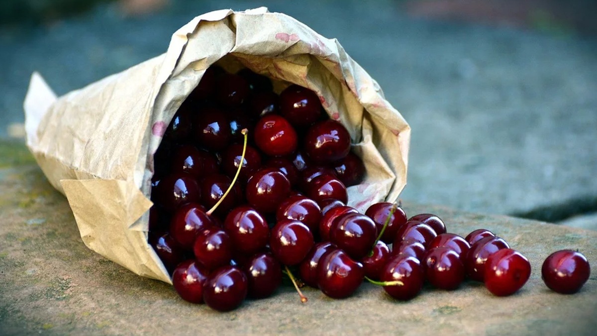    Кислые плоды вишни богаты фитомелатонином — растительным аналогом гормона сна, который вырабатывается в человеческом организме
