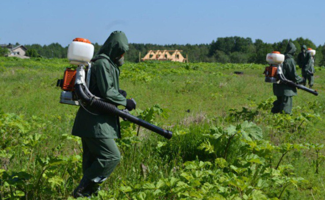    © Пресс-служба администрации Ленинградской области