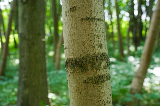   Фото из архива Калининград.Ru