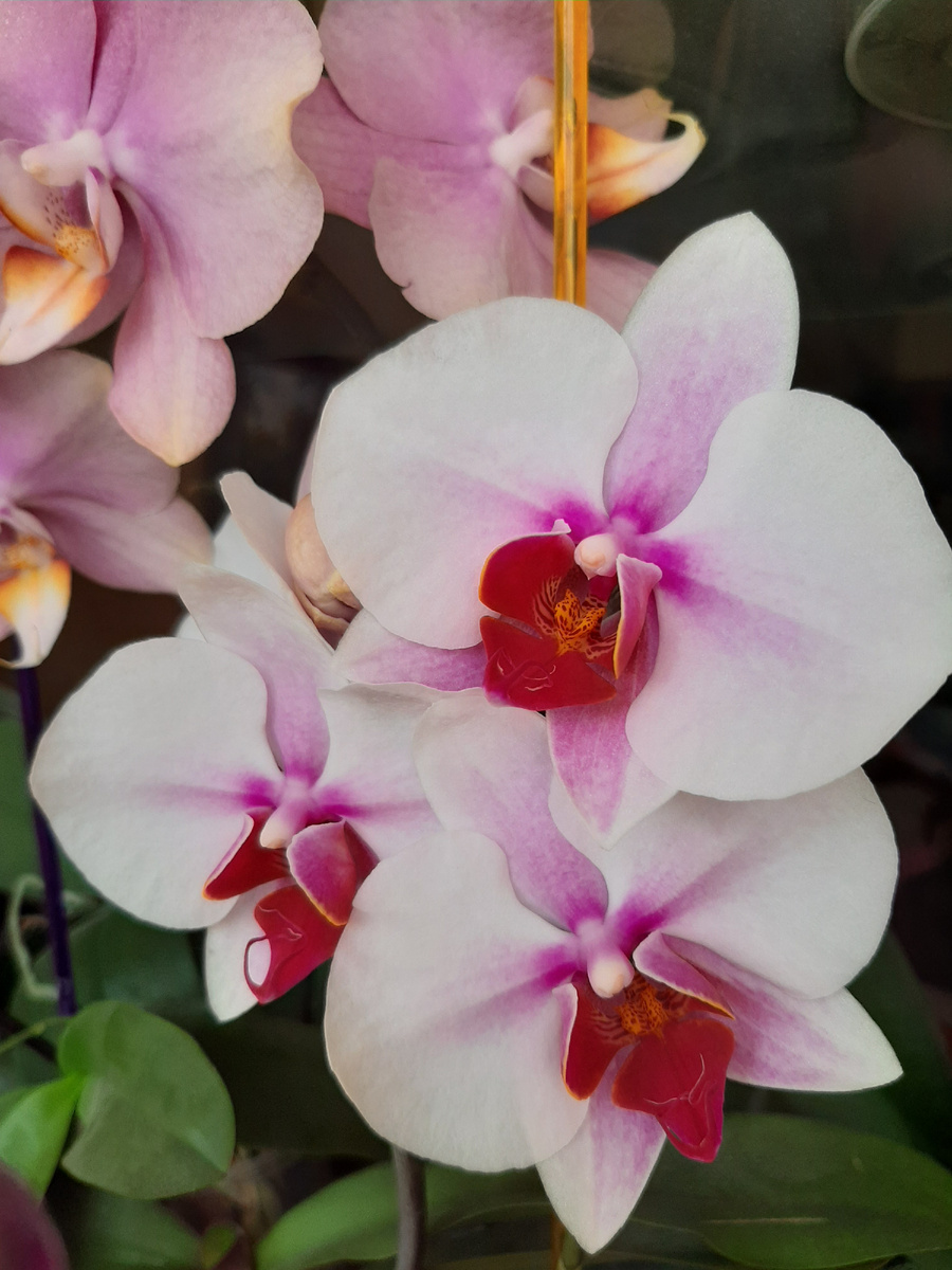 Обложка статьи. Архивное фото 2023