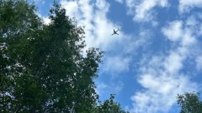     Самолет в небе Селиверстова Дарья