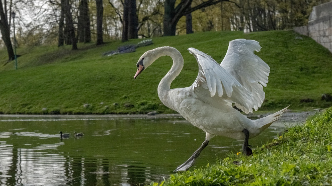 Фото: музей-заповедник "Гатчина"
