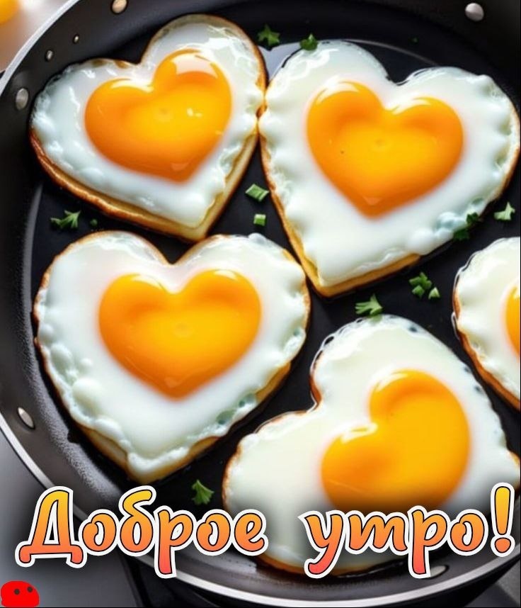 Фото из открытого источника в интернете.