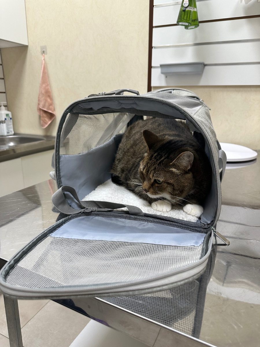 Поход к врачу - это всегда большой стресс для Ральфа