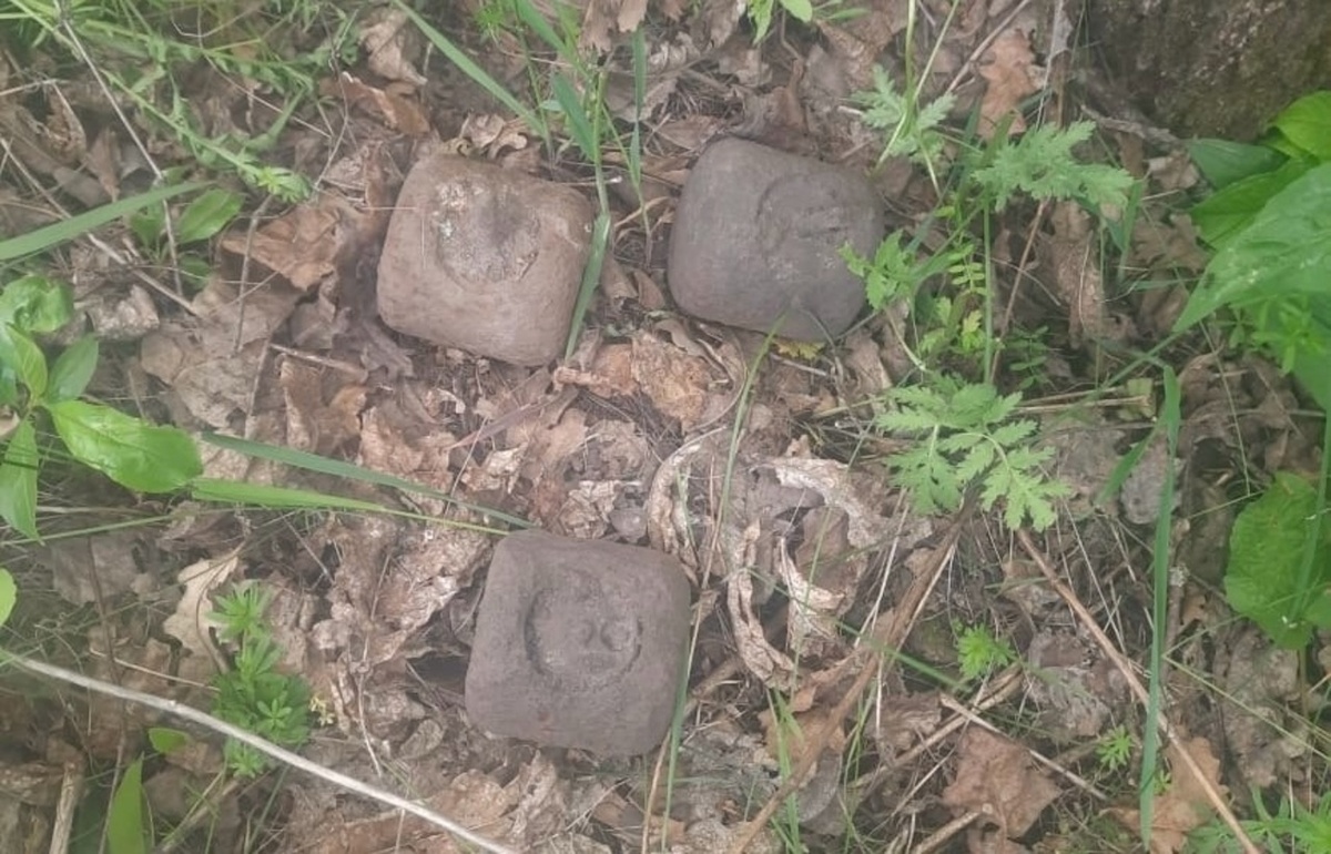    3 осколочных авиабомбы времен войны обнаружены в Фатежском районе Курской области