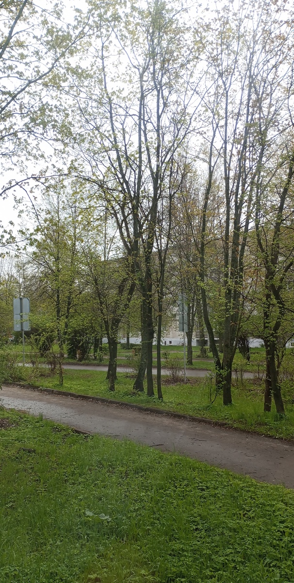 Фото автора. 