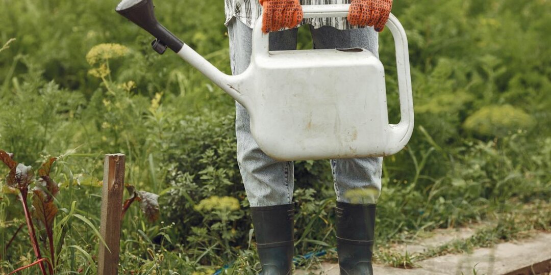 Эти сорняки не выживут: как легко избавляться от них раз и на весь сезон