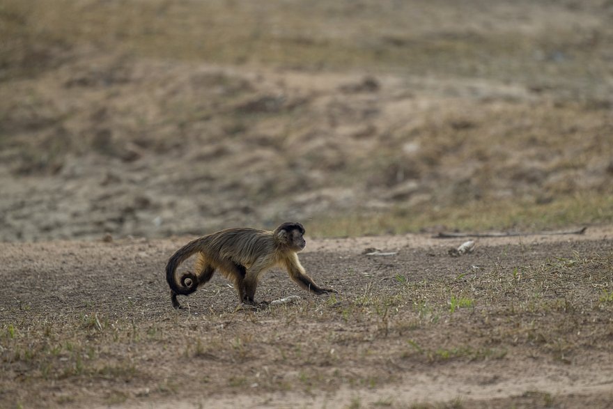    Фото: Wolfgang Kaehler / LightRocket / Getty Images
