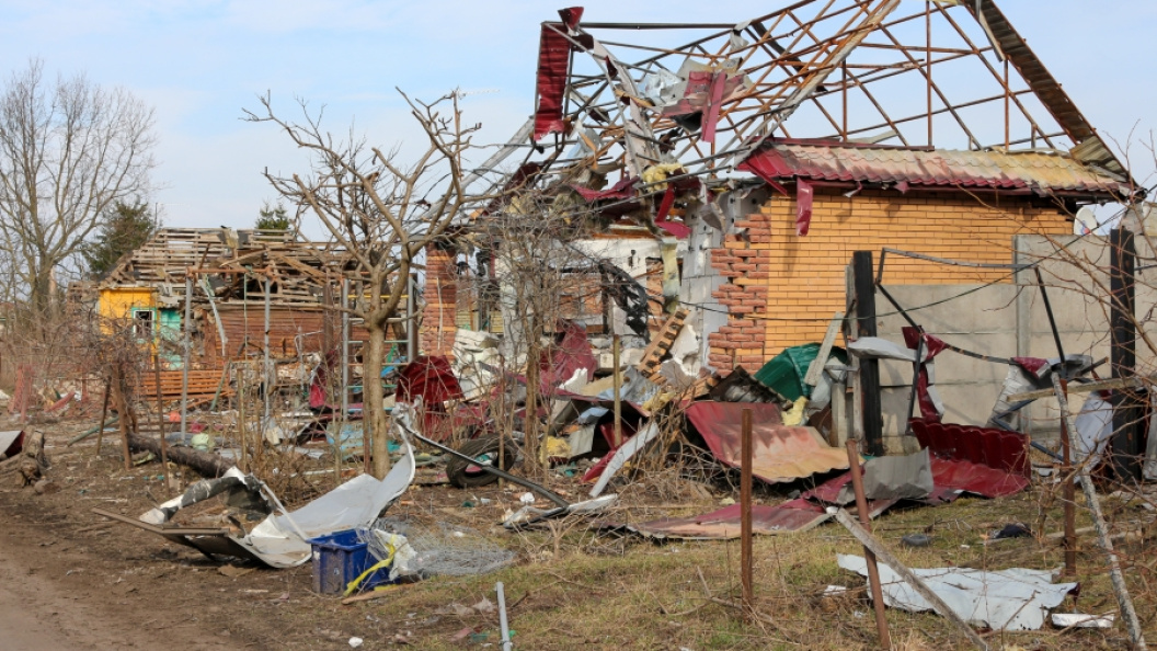    Фото: Konopatov Yuri/Globallookpress