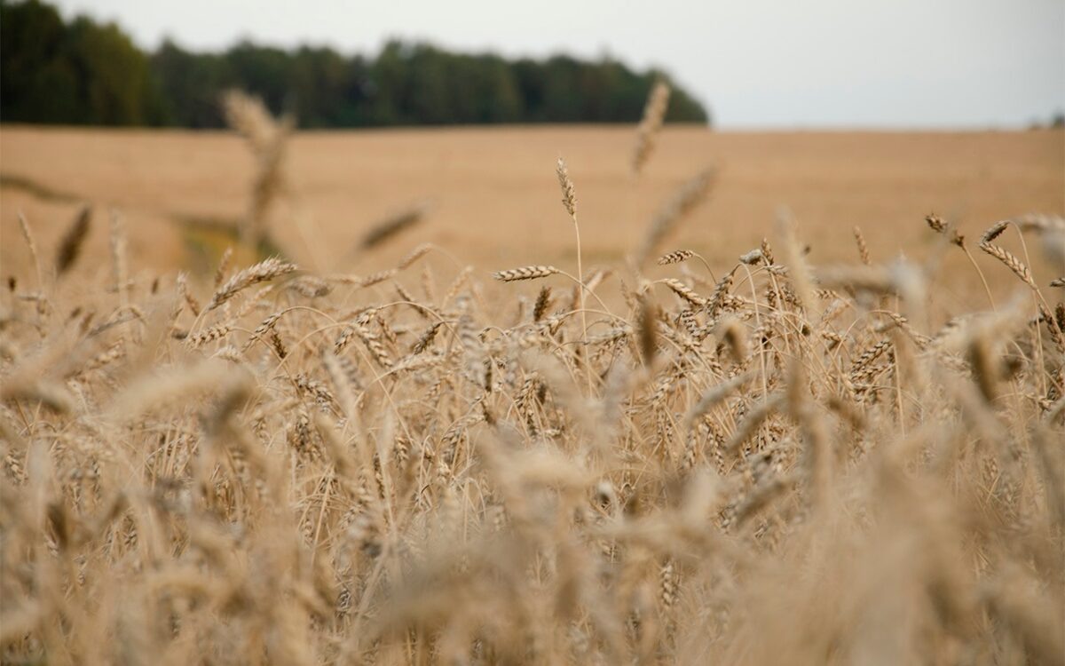    Фото: Светлана Лобова. UG.RU