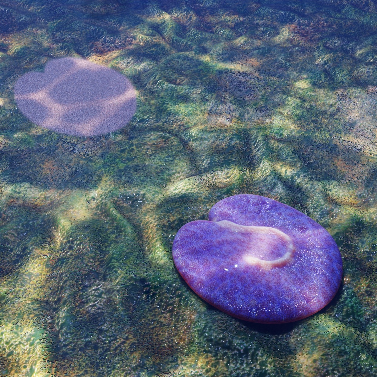 Quaestio simpsonorum. Иллюстрация: Walker C. Weyland.