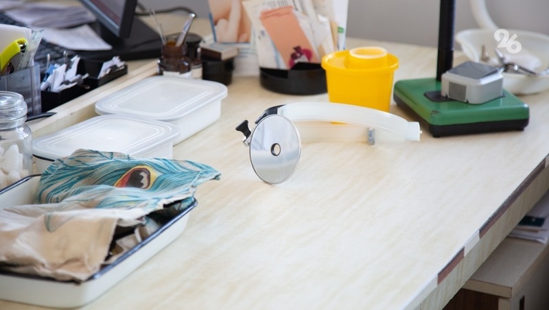      Фото: ИА «Победа26»