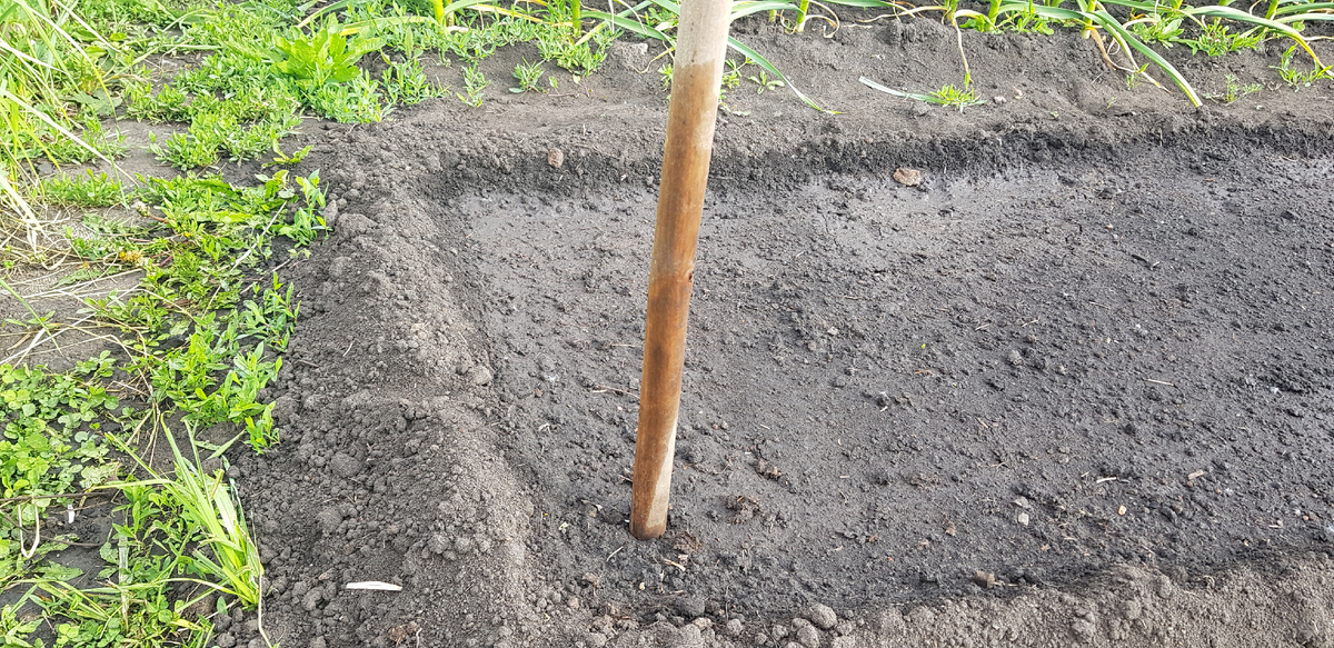 Все просто и гениально! Впрочем, как и все написанное автором этих строк. А подписчиков или, на худой конец, лайков оскорбительно мало.