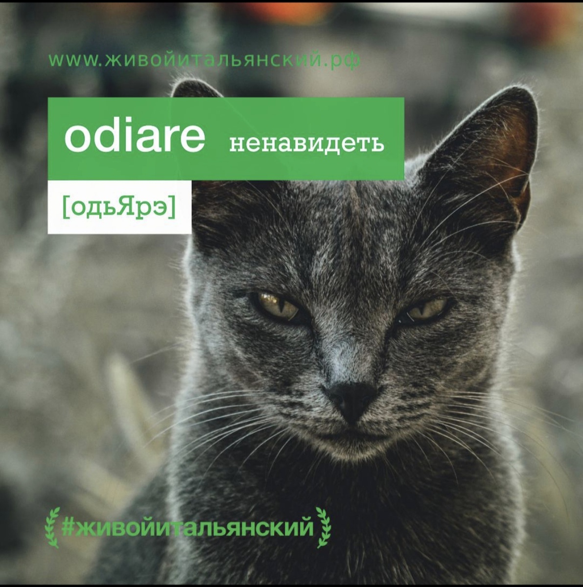 Это не про ненавидеть, а про подождать, хотя, если надо, можно и совместить, главное, чтоб потом отпустило)